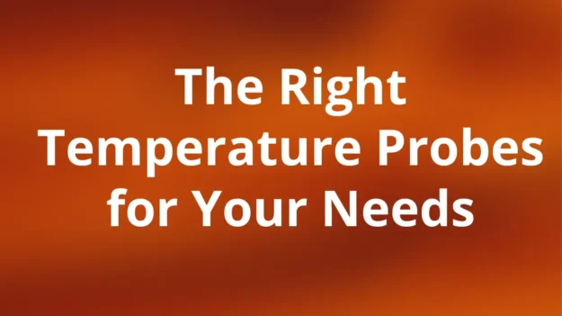The-Right-Temperature-Probe-For-Your-Needs-Andivi